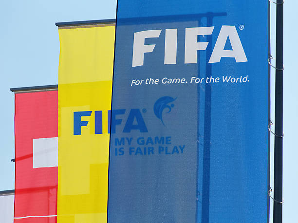 FIFA: The Ultimate Guide to Football History and the World Cup
